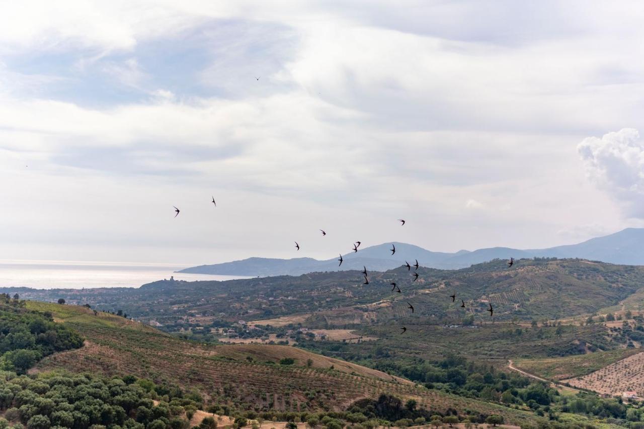 Corte Degli Ulivi Terradura ภายนอก รูปภาพ